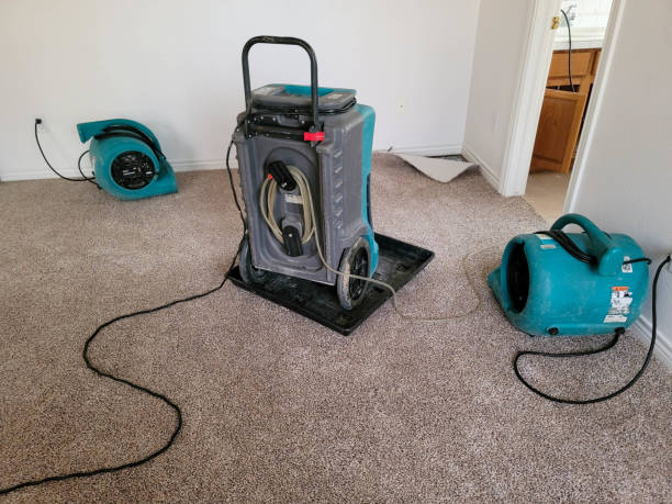 Best Residential water damage restoration  in Farngton, MI